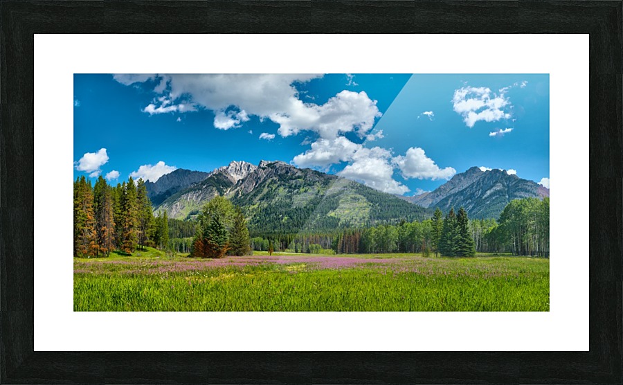 Alberta Wildflower Meadow Picture Frame print