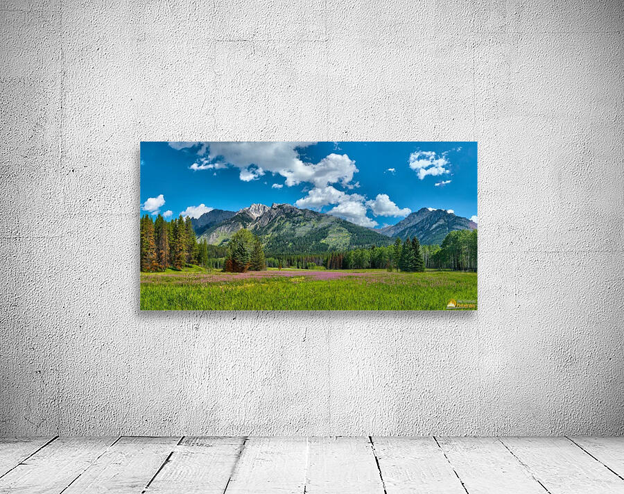 Alberta Wildflower Meadow Wall Preview