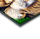 Lion head 13 Acrylic print