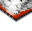 Lion head 5 Acrylic print