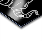 Goat skull head white Acrylic print