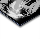 The lion white roar Acrylic print