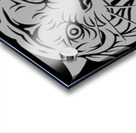 head tiger illustration white Acrylic print