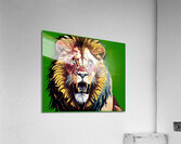 Lion head 9 Acrylic Print