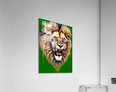 Lion head 13 Acrylic Print