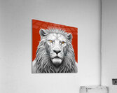 Lion head 5 Acrylic Print