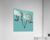Goat skull head black Acrylic Print