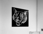 Cat head white Acrylic Print