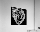 The lion white roar Acrylic Print