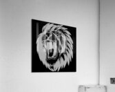 Lion head white Acrylic Print