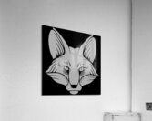Fox head white Acrylic Print