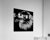Eagle head white Acrylic Print