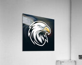 Head eagle 16 Acrylic Print