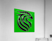 head eagle 1 Acrylic Print