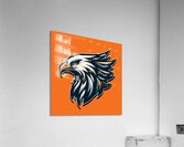 head eagle 6 Acrylic Print