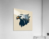 head eagle 13 Acrylic Print