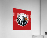 head eagle 12 Acrylic Print