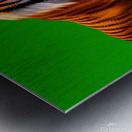 Tiger walking Metal print