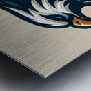 head eagle 18 Metal print