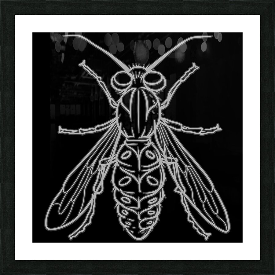  Fine Art print