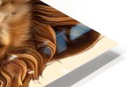 Lion head 1 HD Metal print