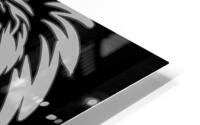 Lion head white HD Metal print