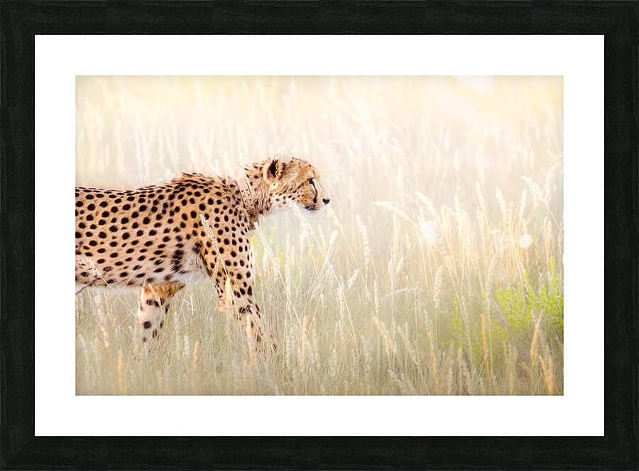 Just out here huntin around Picture Frame print