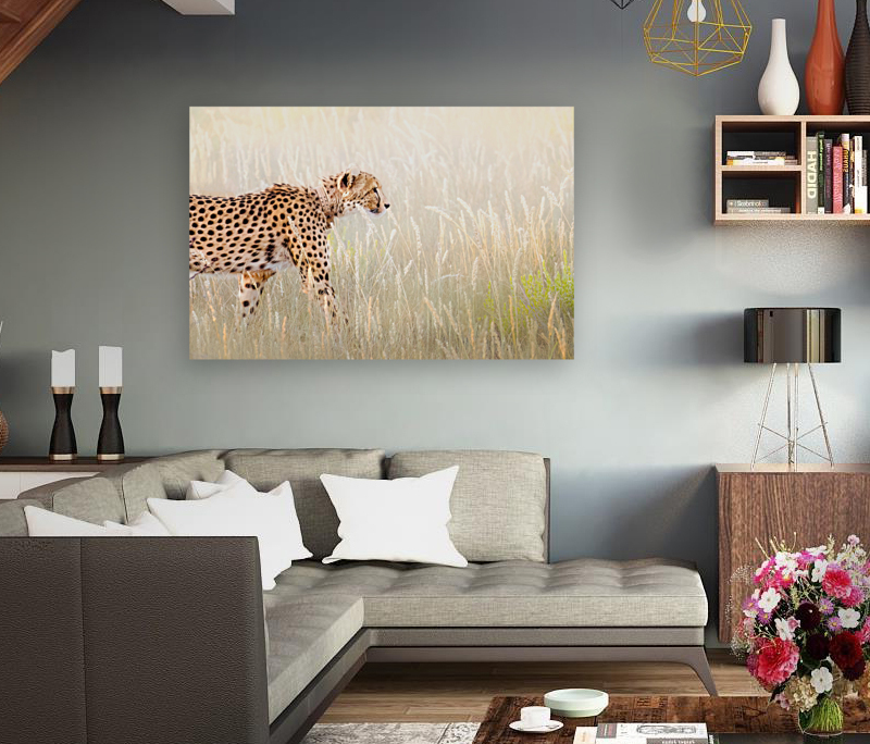 Just out here huntin around Reproduction