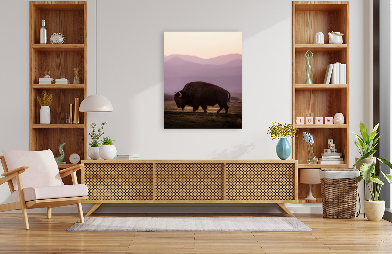 Bison enjoying a sunset Reproduction