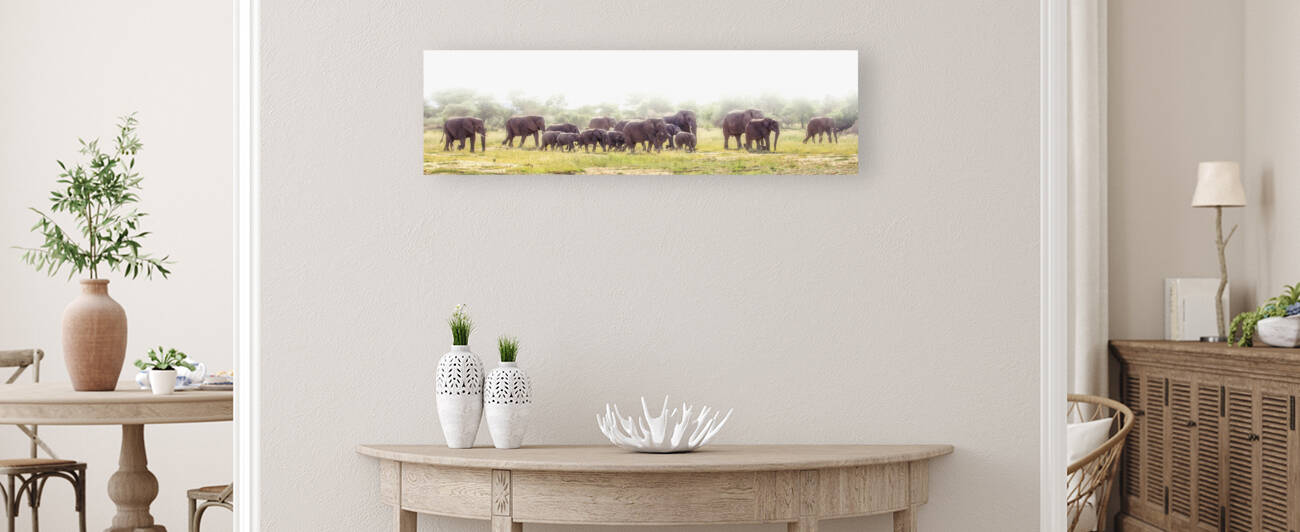 Ellephants on parade Reproduction