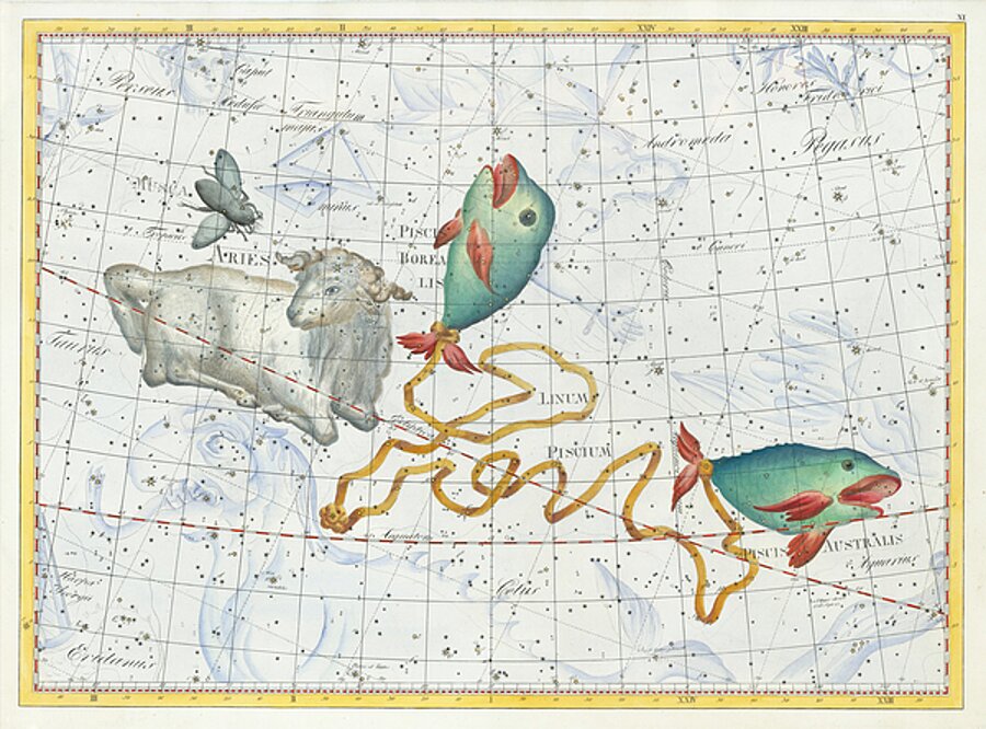 Constellation Piscis by Johann Elert Bode published 1801 by Posh Print