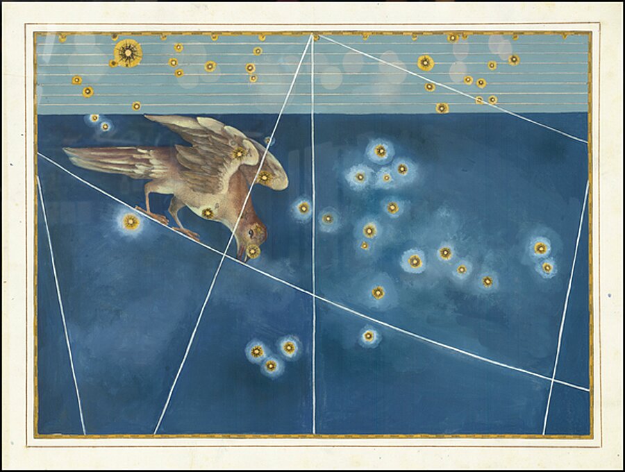 Constellation Corvus by Johann Bayer published in 1624 by Posh Print
