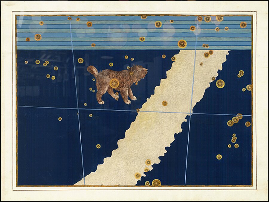 Constellation Canis Minor by Johann Bayer published in 1624  by Posh Print