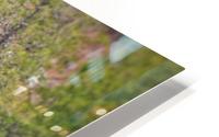 Flowing Falls Gooseberry HD Metal print