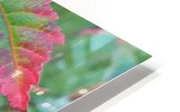 Maple Leaf HD Metal print