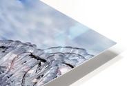 Ice Forest HD Metal print
