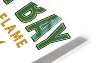 Green Bay Packers 21 HD Metal print