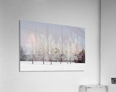 Winter, Calgary, Alberta, Canada Acrylic Print