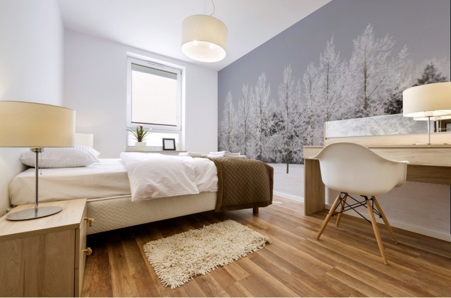 Winter, Calgary, Alberta, Canada Mural print