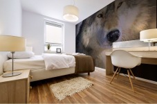 Timber Wolf Mural print