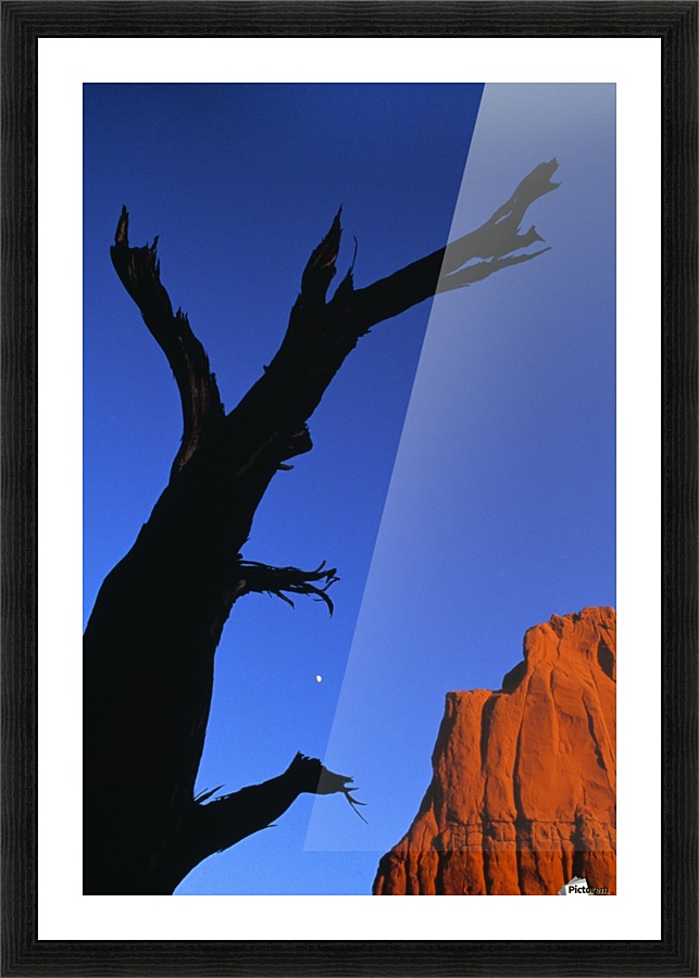 Desert Picture Frame print
