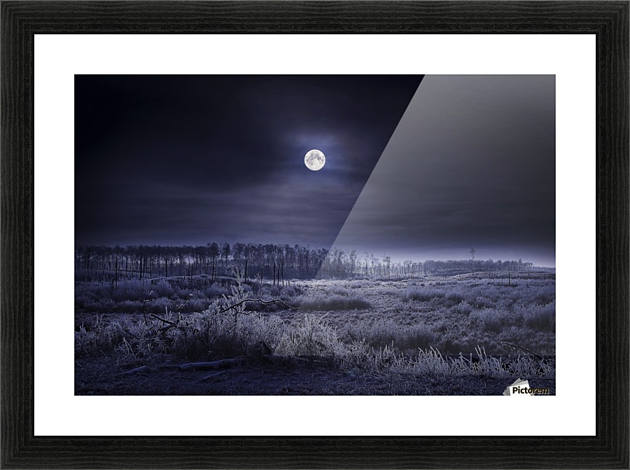Evening Winter Scene Picture Frame print