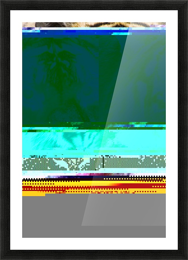 Tiger Picture Frame print