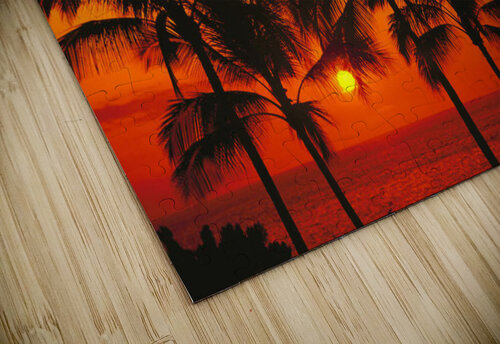 Rows Of Palm Trees Silhouetted By Fiery Orange Sunset Over Ocean
