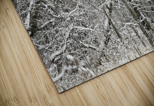Snow Covered Branches PacificStock puzzle