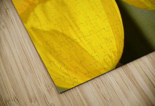 Welsh Poppy PacificStock puzzle