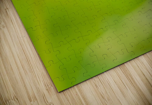 Wild Violet PacificStock puzzle