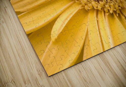 Close Up, Gerbera Daisy PacificStock puzzle