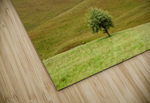 Dark Skies, England PacificStock puzzle