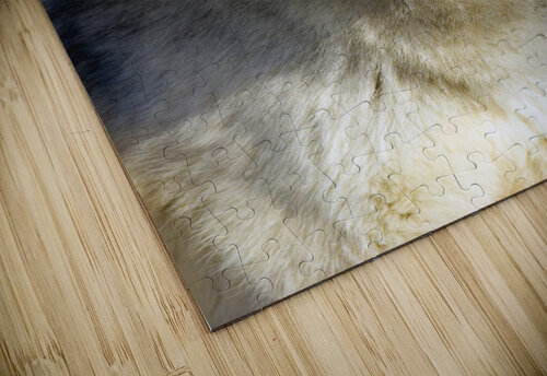 Timber Wolf PacificStock puzzle